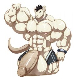 aidan_mouse anthro balls big_balls big_muscles big_penis black_hair bobert boxers_(clothing) clock clothing erection flexing fur genitals hair hi_res huge_balls huge_cock huge_muscles hyper hyper_balls hyper_genitalia hyper_muscles hyper_penis male male_only mammal mouse murid murine muscular nipples penis rodent simple_background smile underwear vein veiny_penis watch white_background white_body white_fur wristwatch