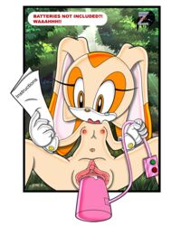 color cream_the_rabbit female female_only fur furry pussy rabbit sega solo sonic_(series) vulva zetar02