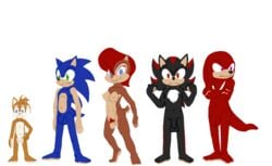 anthro archie_comics blue_fur echidna female fur furry group_sex hedgehog knuckles_the_echidna male mammal mobian_(species) monotreme sally_acorn sega shadow_the_hedgehog sonic_(series) sonic_satam sonic_the_hedgehog sonic_the_hedgehog_(archie) sonic_the_hedgehog_(comics) sonic_the_hedgehog_(series) steve_farfan straight_hair tagme tails