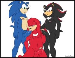 aval0nx balls genitals group group_sex handjob knuckles_the_echidna male male/male male_only nipples oral penile penis pubes sex shadow_the_hedgehog sonic_(series) sonic_the_hedgehog sonic_the_hedgehog_(series) threesome