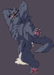 abs absurd_res anthro ball_gag balls black_sclera blush bodily_fluids canid canine canis claws cum cum_drip cum_from_ass cum_leaking cum_pool dripping fur gag gagged gakujo genital_fluids genitals grey_body grey_fur hands_behind_head hi_res humanoid_genitalia humanoid_penis leaking male male_only mammal muscular muscular_male nude open_mouth pawpads penis pink_pawpads pubes saliva sharp_teeth simple_background solo teeth toe_claws uncut vein veiny_penis wolf yellow_eyes