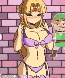 1boy 1girls a_link_between_worlds animated big_breasts blonde_hair blue_eyes blush bouncing_breasts bra breasts cleavage earrings female female_focus garter_straps large_breasts link long_hair male navel nintendo panties princess_zelda scruffmuhgruff solo_focus the_legend_of_zelda zelda_(a_link_between_worlds)