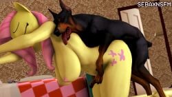 1boy 1girls 3d ambiguous_penetration animated anthro anthro_on_feral bed bedroom big_breasts blue_eyes breasts canine completely_nude dobermann doggy_style domestic_dog door equine female female_on_feral feral feral_on_female feral_penetrating feral_penetrating_anthro fluttershy_(mlp) friendship_is_magic hasbro hetero interspecies literal_canine literal_dog male male_feral/female_anthro male_on_anthro moaning my_little_pony mythological_creature mythological_equine no_ai nude open_door penetration pink_hair sbxn sebaxn sebaxnsfm sex short_video sound tagme twitter_link video western_cartoon yellow_body zoophilia