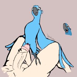 avian bird blu_(rio) blue_sky_studios cuckold duo female female_feral feral human infidelity jewel_(rio) macaw male male/female mammal neotropical_parrot parrot rio_(series) true_parrot unfinished verotismus zoophilia