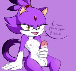 1futa absurd_res anthro blaze_the_cat breasts dialogue domestic_cat felid feline felis furry futa_only futanari genitals gynomorph hi_res intersex looking_at_viewer mammal penis shumpy sitting small_breasts solo solo_futa sonic_(series) sonic_the_hedgehog_(series) talking_to_viewer