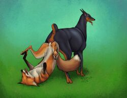 2026 abstract_background anatomically_correct anatomically_correct_genitalia anatomically_correct_vulva animal_genitalia animal_vulva anus ass_to_ass black_body black_fur brown_body brown_fur canid canine canine_genitalia canine_vulva canis cropped_ears digital_drawing_(artwork) digital_media_(artwork) dobermann docked_tail domestic_dog duo fancy_(regsmutt) female female_penetrated feral feral_on_feral feral_penetrated feral_penetrating feral_penetrating_feral fox fur genitals hi_res knot_hanging knot_root knotting larger_penetrated lying male male/female male_penetrating male_penetrating_female mammal on_back open_mouth orange_body orange_fur paws penetration penile penile_penetration penis_in_vagina pinscher pointy_ears realistic_feral red_fox regsmutt scar sex sheath short_tail size_difference tail tail_scar tongue tongue_out true_fox vaginal vaginal_penetration vulva white_body white_fur