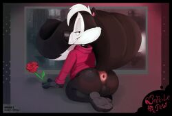1boy 2d anthro anthro_only anus ass ass_focus backsack balls ballsack barefoot bedroom_eyes big_ass clothing furry furry_male furry_only genitals highres kneeling looking_at_viewer looking_back_at_viewer looney_tunes male male_only mephitid no_pants no_sex nonhuman paws pepe_le_pew presenting presenting_hindquarters puffy_anus purplechubee romantic rose skunk skunk_tail solo solo_male tail text twitter_link warner_brothers watermark