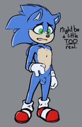 13:20 2020 animal_genitalia anthro balls blue_balls blue_body blue_fur clothing english_text eulipotyphlan footwear fur genitals gloves green_eyes grey_background handwear hedgehog looking_at_penis looking_down male male_only mammal movie_sonic paramount_pictures penis rogermeow sega sheath shoes simple_background solo sonic_(series) sonic_the_hedgehog sonic_the_hedgehog_(film) sonic_the_hedgehog_(series) standing testicles text