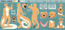 2020 4_toes 5_fingers anthro digital_media_(artwork) digitigrade english_text fight_(artist) fingers lutrine male mammal model_sheet mustelid solo text toes