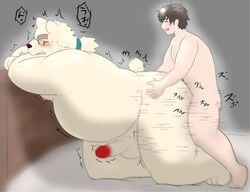 2020 2boys anal anthro anthro_penetrated aosano_tenpura balls belly blush closed_eyes duo erection gay genitals hi_res human human_on_anthro human_penetrating human_penetrating_anthro humanoid_hands interspecies japanese_text kemono leib_(tokyo_afterschool_summoners) male male/male male_only mammal moobs nipples overweight overweight_male penetration penis polar_bear sex size_difference small_dom_big_sub text tokyo_afterschool_summoners ursid ursine video_games yaoi