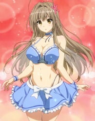 muse (amaburi) from amagi brilliant park