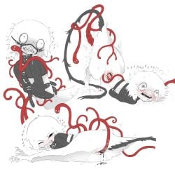 1other bdsm bird_legs bite_mark black_eyes black_tail blood blush body_fur bondage bound clenched_teeth crying growling highres injury jejejunum monster_boy mumble_(jejejunum) muzzle_(mask) one_eye_closed open_mouth original pussy_juice rabies screech_(jejejunum) sharp_teeth simple_background straitjacket tail tears teeth tendril tentacles vaginal white_background white_fur worm