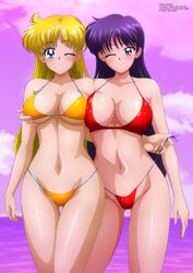 minako aino from bishoujo senshi sailor moon by zel-sama
