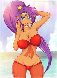 1girls 2d arabian_clothes belly_dancer blue_eyes breasts brown_skin dark-skinned_female genie harem_outfit harem_pants long_hair purple_hair shadako26 shantae shantae_(character) smooth_skin solo tanned_skin