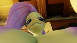 3d animated anthro fluttershy_(mlp) friendship_is_magic lesbian mlp motorboating my_little_pony no_sound pov rainbow_dash_(mlp) tagme video yuri