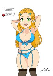 princess zelda from breath of the wild by izai ah