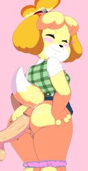 Isabelle (Animal Crossing) Rule 34 Image