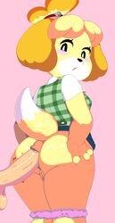 Isabelle (Animal Crossing) Rule 34 Image