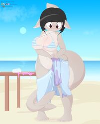 anthro dashboom michelle_(dashboom) spilled_drink surprised swimsuit