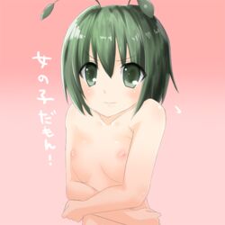 1girls antennae bare_shoulders breasts bust female flat_chest green_eyes green_hair nase nipples nude solo touhou translated wriggle_nightbug