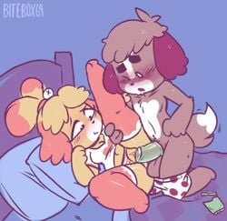 1boy 1girls 2020 :3 animal_crossing anthro balls bed bell bitebox64 black_nose blue_background blush boxers breasts brother_and_sister brown_fur brown_hair canid canine cleavage clothed_female_nude_male condom condom_wrapper digby_(animal_crossing) dog_ears dog_tail eyebrows eyelashes female fur furry furry_ears furry_only furry_tail hair hair_ornament hairband hand_on_hip hand_on_shoulder heart holding_leg humanoid incest isabelle_(animal_crossing) legs legs_apart looking_down male mostly_nude nintendo nude_male on_back on_knees one_eye_closed open_mouth opposite_sex_twins orange_socks panties panties_aside penis pillow polka_dot pussy sex sheets shih_tzu shimapan shirt smile straight striped_panties sweat tail testicles underwear underwear_down vaginal_sex yellow_fur yellow_hair