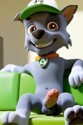 1boy ai_generated animal_ears brown_eyes canine collar couch dog_boy freckles furry furry_male gay grin hat looking_at_viewer luxeraora10 male_focus male_only no_humans paw_patrol penis rocky_(paw_patrol) sitting smile solo testicles uncensored