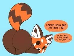 ass big_ass blue_background brown_fur chibi_style chikn_nuggit cub fat_ass girly girly_boy inkbunny inkbunny_username kyra_kupetsky orange orange_fur panda red_panda small_eyes sody_pop sody_pop_(chikn_nuggit) tagme vanillamochi white_fur youtube youtuber