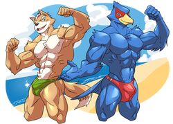 anthro avian bird bulge canine duo falco_lombardi flexing fox fox_mccloud happyending male male_only mammal muscular nintendo star_fox video_games