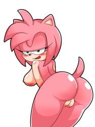 amy rose from sega by klaussaurio
