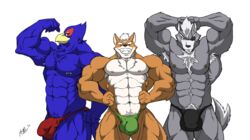 anthro avian bulge canine falco_lombardi flexing fox fox_mccloud kyuuhari male_only multiple_males muscles muscular muscular_male nintendo speedo star_fox wolf wolf_o'donnell wolfoxokamichan