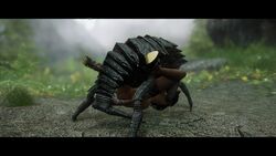 3d 3d_(artwork) chaurus insect missionary missionary_position skyrim tagme the_elder_scrolls zoophilia