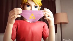 1boy 1girls 3d animated anus ass blonde_hair blue_eyes clothing feet female humanoid hylian hyrule_warriors kicking link link_(hyrule_warriors) linkle magmallow male pale_skin panties small_breasts sound the_legend_of_zelda towel triforce_panties vagina video