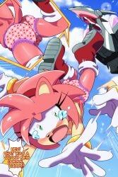 amy_rose bare_legs destroyed_clothing embarrassed euf-dreamer falling female furry green_eyes legs nipples panties print_panties sonic_(series) sonic_x tears torn_clothes torn_dress underwear