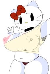 hello kitty (character) from hello kitty