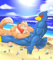 anthro avian beach falco_lombardi fellatio fox fox_mccloud gay macro male male_only muscles muscular muscular_male nintendo oral penis sex shinobiya star_fox sucking yaoi