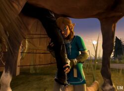 link from breath of the wild by uchihamindfreak