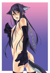 animal_ears ass cat_ears catboy chains collar earrings gloves insertion jewelry leash long_hair looking_back male male_only solo tail tales_of_(series) tales_of_vesperia yaoi yuri_lowell