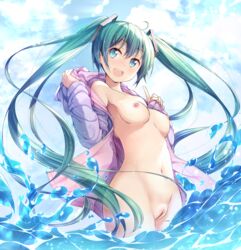 hatsune miku from vocaloid