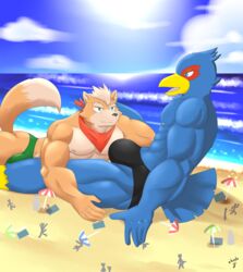 anthro avian beach black_underwear bulge falco_lombardi fox fox_mccloud gay green_underwear macro male male_only muscles muscular muscular_male nintendo shinobiya speedo star_fox underwear yaoi