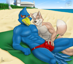 anthro archshen avian beach bulge duo falco_lombardi fox fox_mccloud gay grope groping male male_only muscles muscular muscular_male nintendo red_underwear smile speedo star_fox underwear yaoi