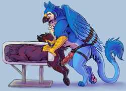 ambiguous_gender anthro avian bound canid canine chastity_cage chastity_device dildo duo feral gryphon male mammal marjani mythological_avian mythology pasiphae_structure pegging purpthegryphon sex_toy strapon