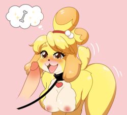 1boy 1girls 2020 :3 animal_crossing anthro apple_cake areolae ass big_ass big_breasts breasts erection female furry isabelle_(animal_crossing) large_breasts male nintendo nipples nude open_mouth penis straight