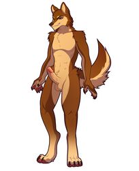 absurd_res anthro canid canine canis erection genitals grin hi_res humanoid_genitalia humanoid_penis male male_only mammal nude penis rafael_belmont simple_background smile solo solo_male varollis wolf