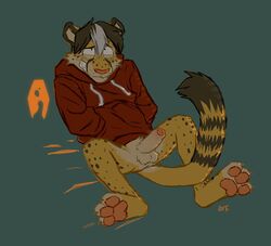 1boy anthro balls bottomless cheetah clothed clothing erection felid feline genitals hoodie male male_only mammal nervous orf pawpads paws penis solo solo_male spread_legs spreading topwear uncut