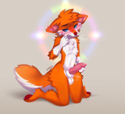 animal_genitalia animal_penis anthro balls blue_eyes canid canine canine_genitalia canine_penis claws fox fur genitals horitoy knot knotted_penis male mammal orange_body orange_fur orange_tail pawpads penis red_nose red_pawpads sheath solo tail white_balls white_body white_claws white_fur