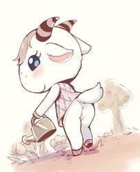 amimalcrossin animal_crossing anthro anus ass bottomless bovid caprine chevre_(animal_crossing) clothed clothing dress female genitals goat hi_res mammal nintendo no_underwear outside pussy solo upskirt video_games watering_can