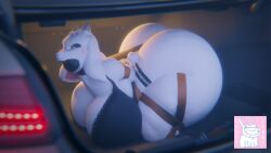 ball_gag belt_bondage bondage bra car ghostoast glasses huge_ass huge_thighs kidnapped tagme thick_thighs toriel undertale wide_hips