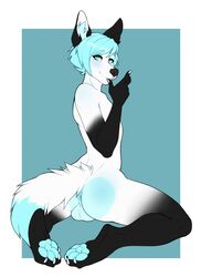 anthro anus ass backsack balls black_body black_fur blue_eyes blue_hair canid canine fur genitals hair hi_res male male_only mammal simple_background solo zurezuredesigns