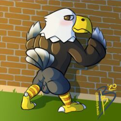 2020 accipitrid accipitriform against_wall animal_crossing anthro apollo_(animal_crossing) ass avian backsack balls beak bibbidy bird blue_body blue_feathers blush bottomless brick_wall brown_eyes clothed clothing eagle feathers genitals grass hands_on_wall hi_res jacket looking_back male male_only multicolored_tail nintendo perineum shadow signature solo talons topwear video_games white_body white_feathers