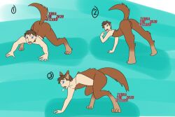 2020 2020s 4_toes 5_fingers after_transformation all_fours anthro anthro_transformation apprehensive ass biped blue_eyes blush body_blush breath brown_body brown_fur brown_hair canid claws cuntboy cuntboy_transformation digitigrade feet fingers front_view fur gender_transformation genitals hair hand_between_legs hand_on_own_crotch human human_to_anthro humanoid intersex leg_markings light_body light_skin looking_at_self looking_back male male_to_cuntboy mammal markings mti_transformation nude open_mouth partial_transformation paws presenting presenting_hindquarters presenting_vulva pussy raised_tail rear_view sequence short_hair side_view simple_background socks_(marking) solo species_transformation tail tan_feet teal_background teeth terrathewizard three-quarter_view toe_claws toes tongue transformation transformation_sequence vulva vulva_blush